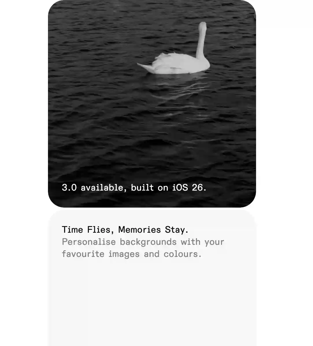 Black-and-white swan preview on the Hands Time landing page